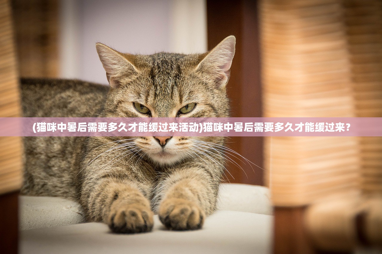 (猫咪中暑后需要多久才能缓过来活动)猫咪中暑后需要多久才能缓过来？