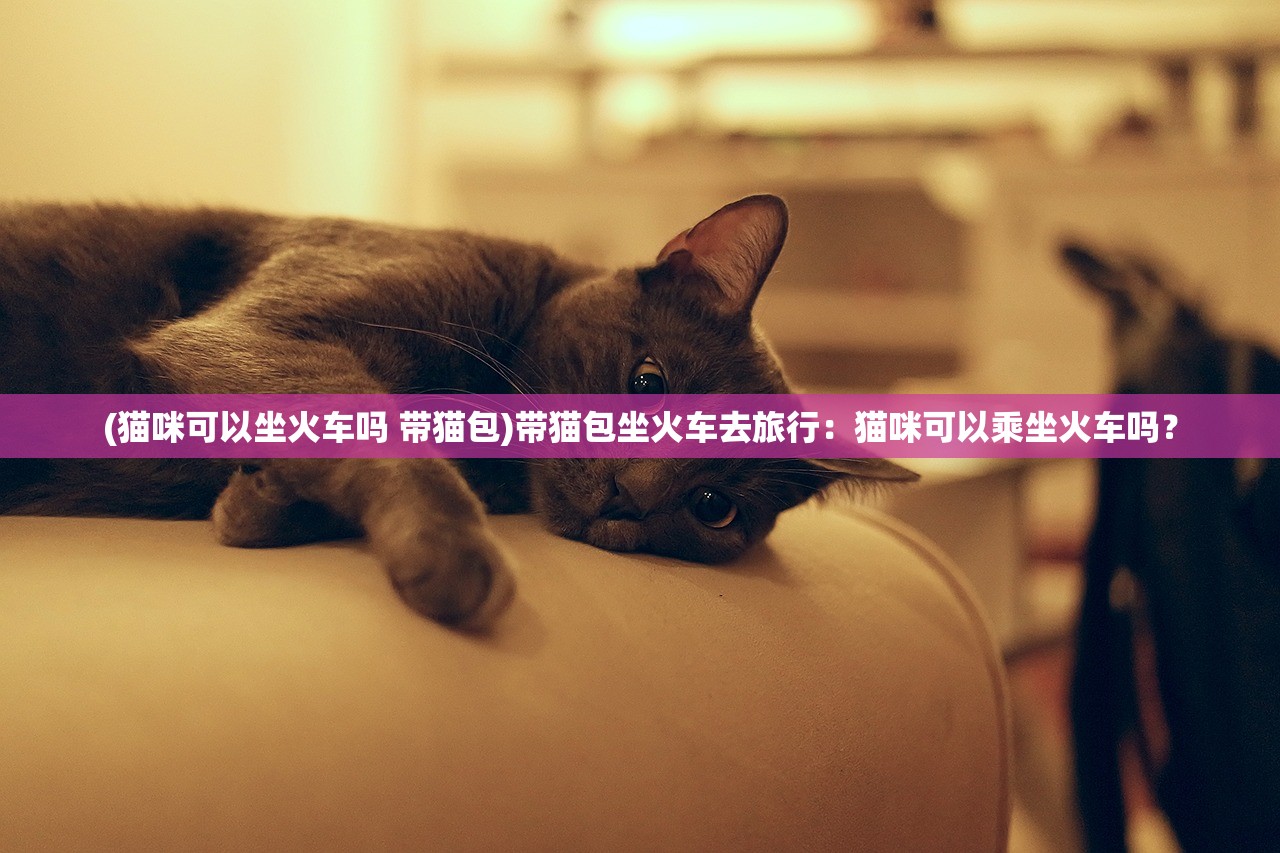 (猫咪可以坐火车吗 带猫包)带猫包坐火车去旅行：猫咪可以乘坐火车吗？