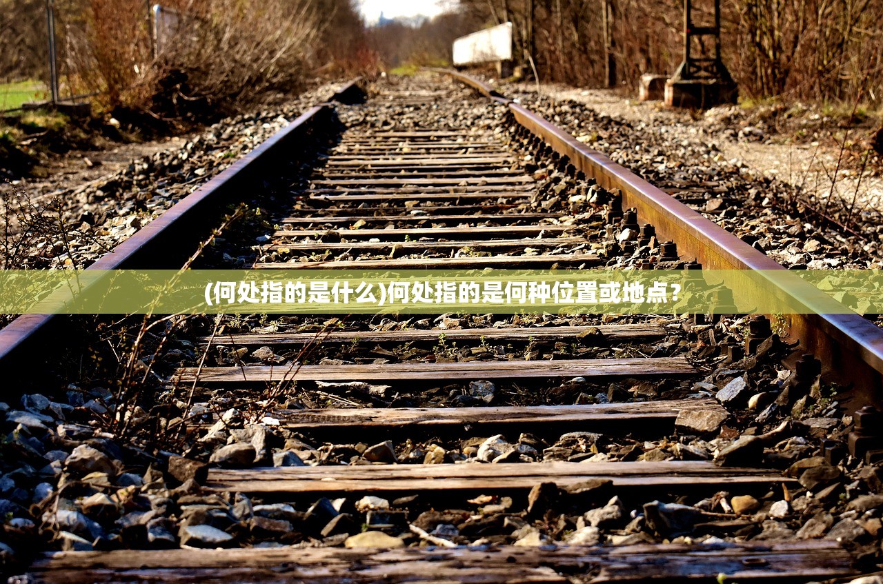 (何处指的是什么)何处指的是何种位置或地点？