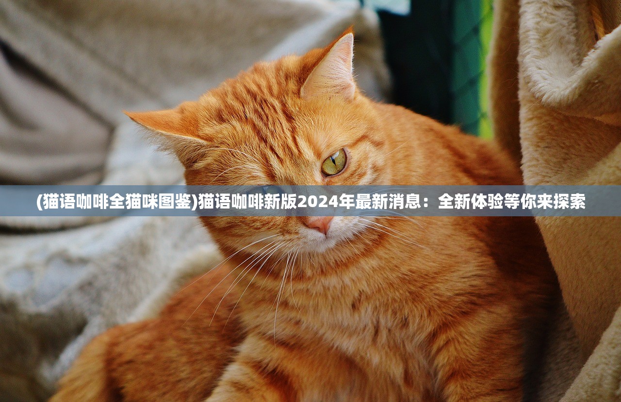 (猫语咖啡全猫咪图鉴)猫语咖啡新版2024年最新消息：全新体验等你来探索