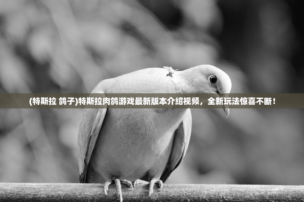 (特斯拉 鸽子)特斯拉肉鸽游戏最新版本介绍视频，全新玩法惊喜不断！
