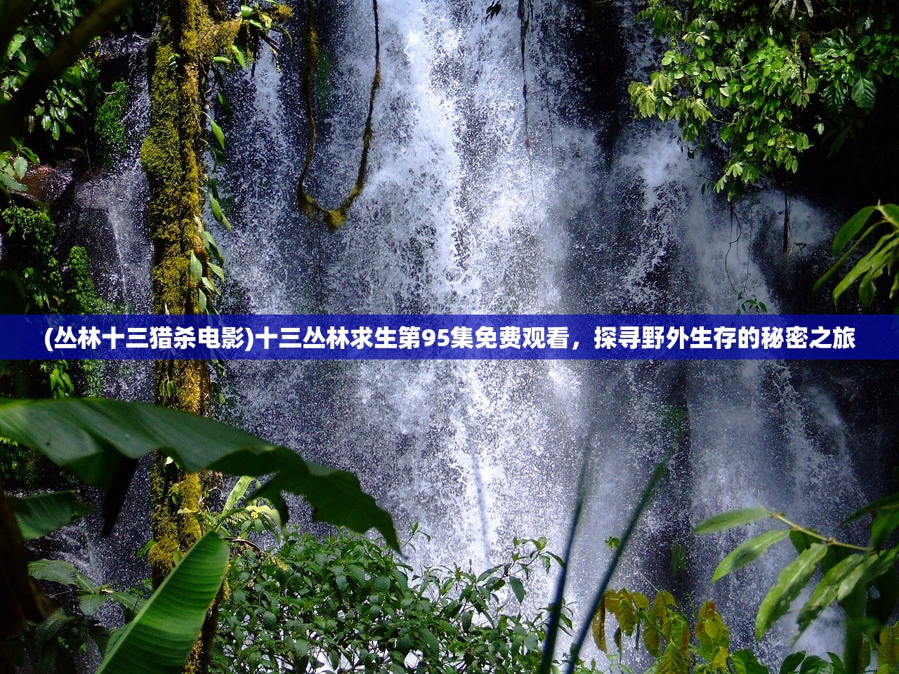 (丛林十三猎杀电影)十三丛林求生第95集免费观看，探寻野外生存的秘密之旅