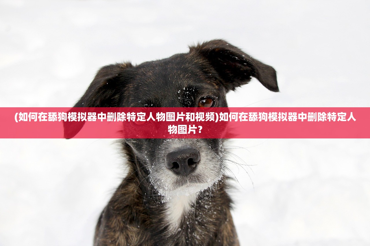 (如何在舔狗模拟器中删除特定人物图片和视频)如何在舔狗模拟器中删除特定人物图片？