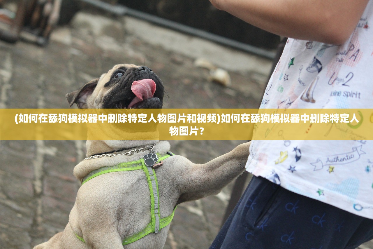 (如何在舔狗模拟器中删除特定人物图片和视频)如何在舔狗模拟器中删除特定人物图片？
