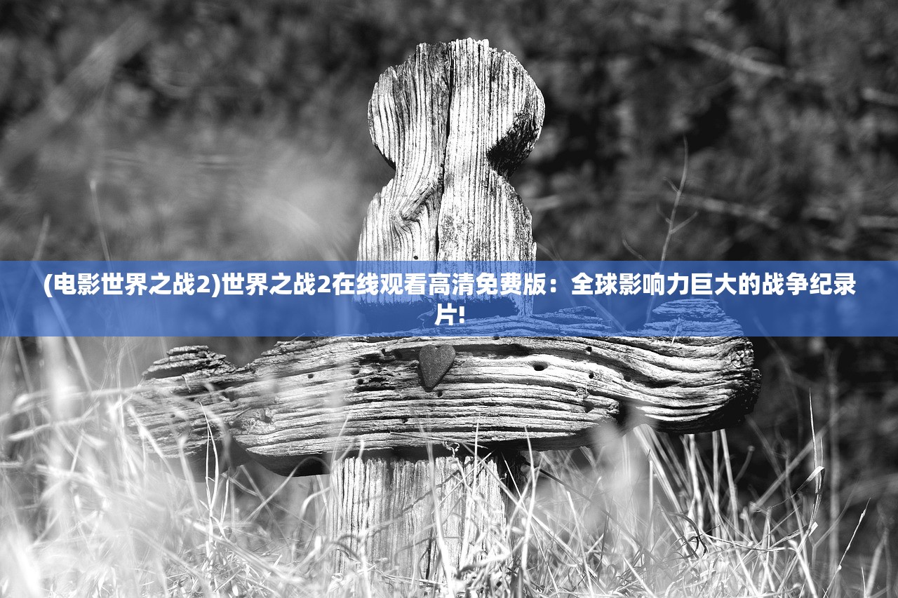 (电影世界之战2)世界之战2在线观看高清免费版：全球影响力巨大的战争纪录片!