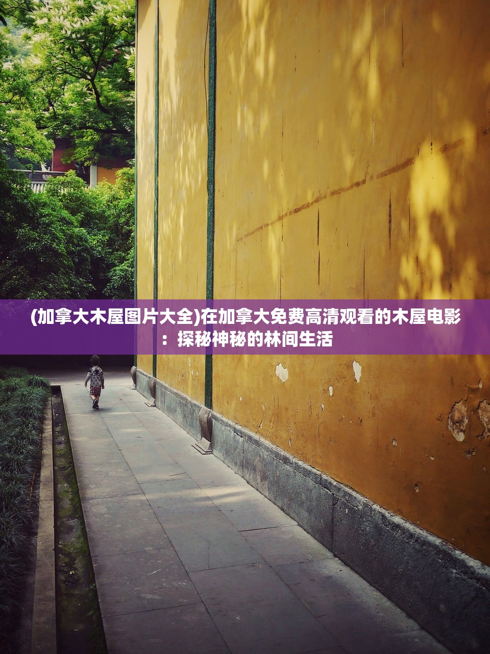 (加拿大木屋图片大全)在加拿大免费高清观看的木屋电影：探秘神秘的林间生活