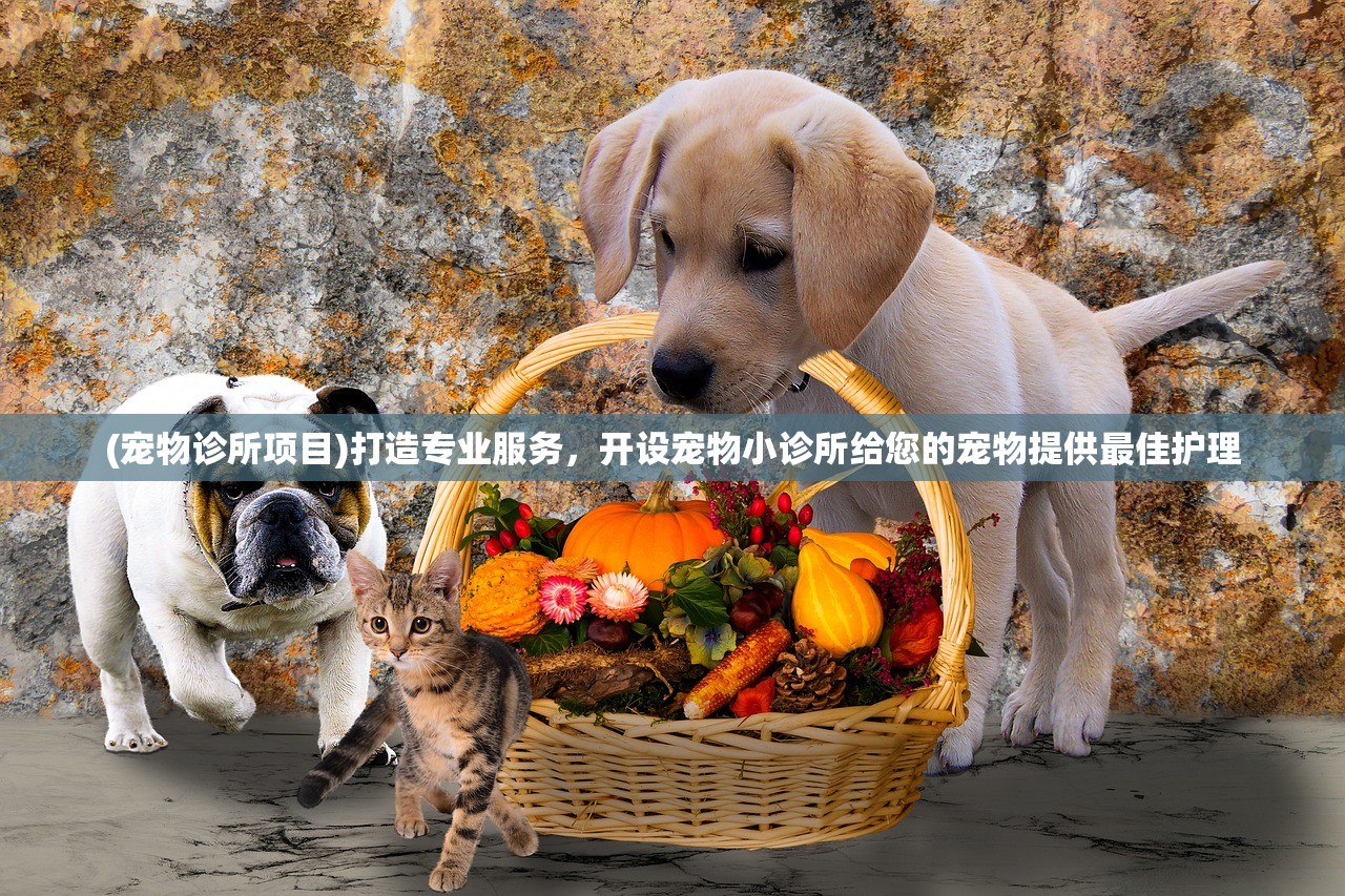 (碧蓝航线wiki伏罗希洛夫)碧蓝航线wiki，游戏解析与常见问答