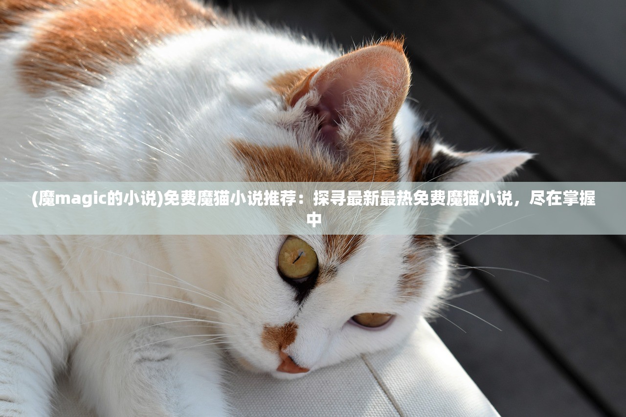 (卡车之星无限钞票金条版免封版)卡车之星无限钞票金条版，游戏新体验探索