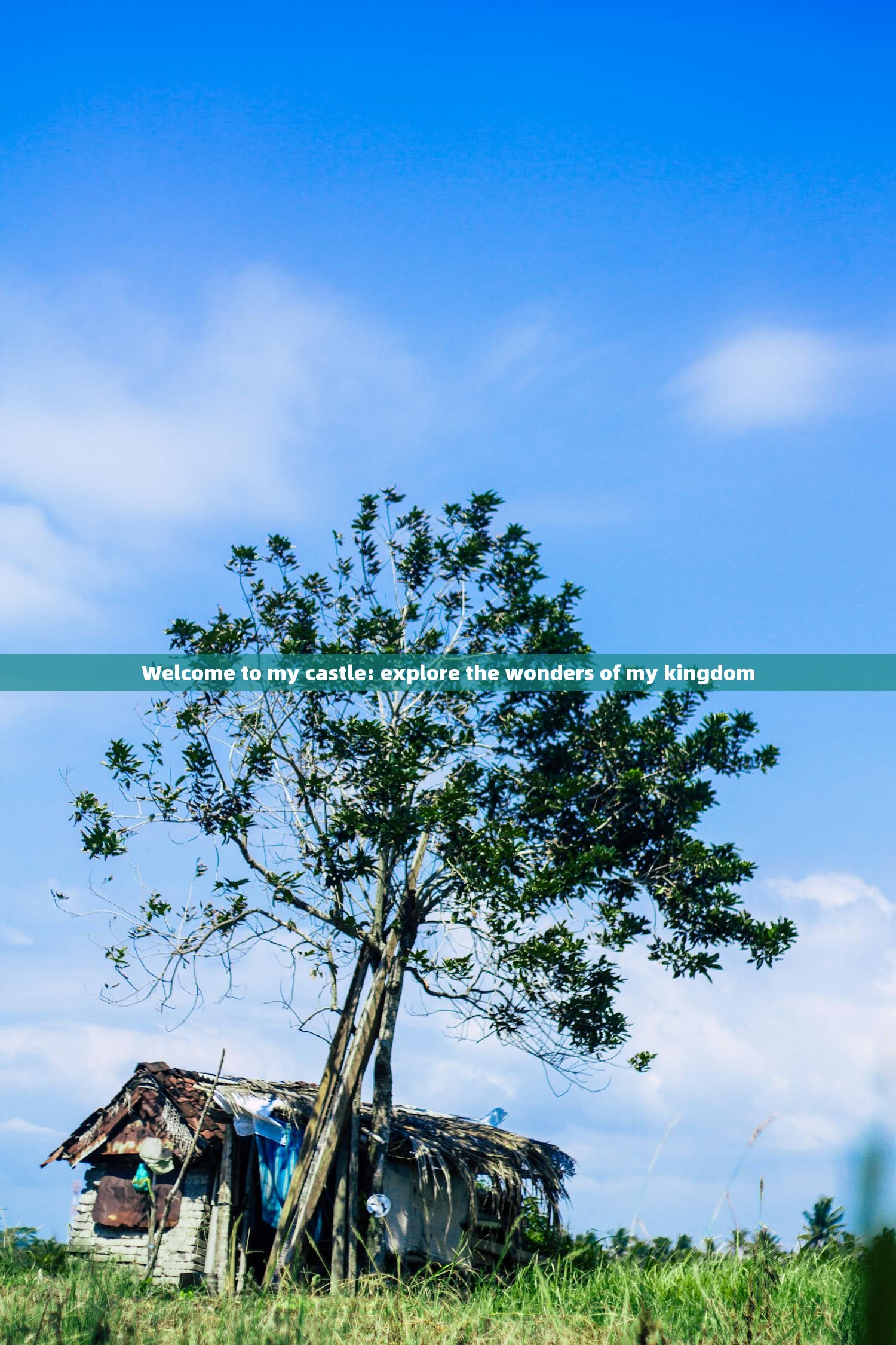 Welcome to my castle: explore the wonders of my kingdom Welcome to my castle: explore the wonders of my kingdom