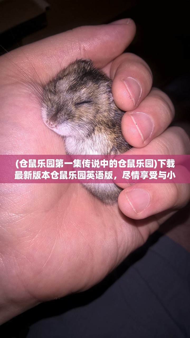 (仓鼠乐园第一集传说中的仓鼠乐园)下载最新版本仓鼠乐园英语版,尽情享受与小可爱的互动乐趣! (仓鼠乐园第一集传说中的仓鼠乐园)下载最新版本仓鼠乐园英语版,尽情享受与小可爱的互动乐趣!