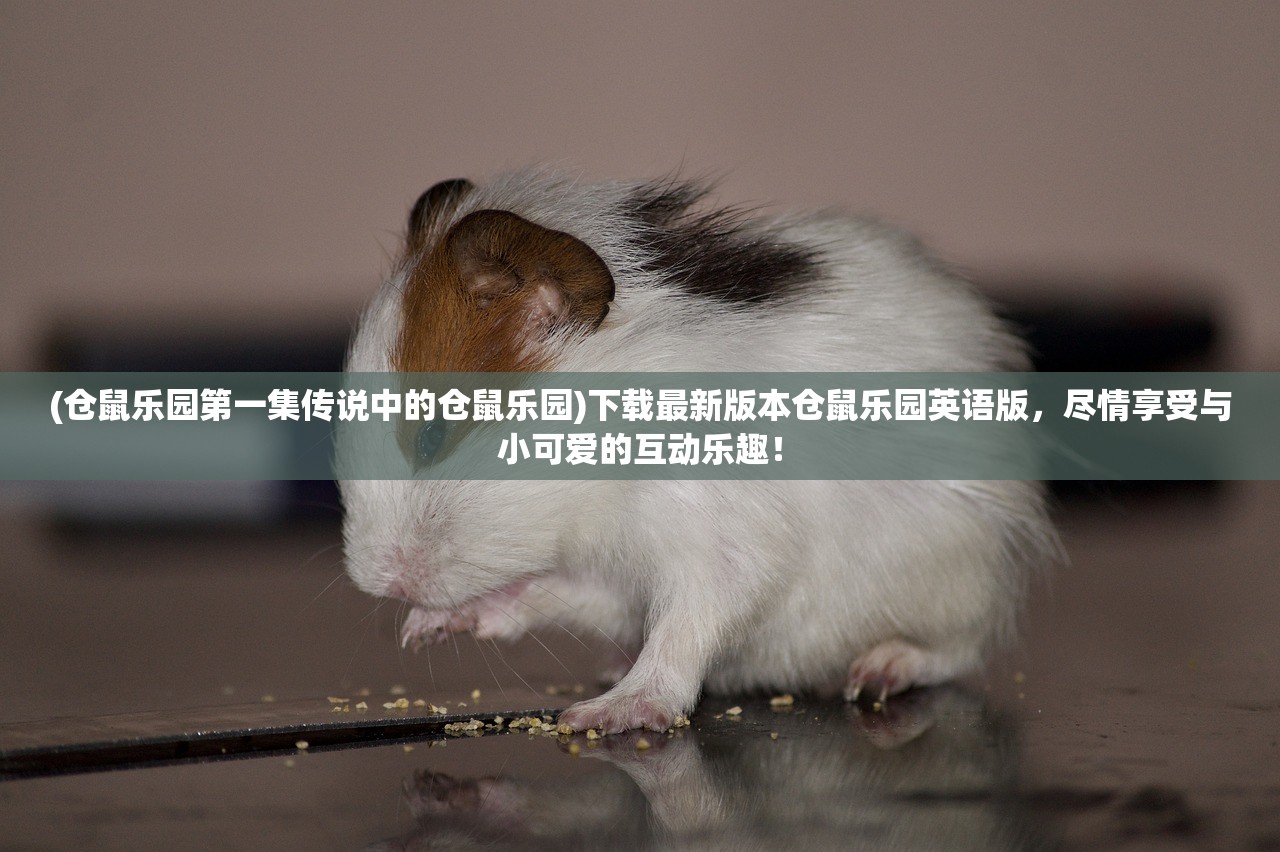 (仓鼠乐园第一集传说中的仓鼠乐园)下载最新版本仓鼠乐园英语版,尽情享受与小可爱的互动乐趣! (仓鼠乐园第一集传说中的仓鼠乐园)下载最新版本仓鼠乐园英语版,尽情享受与小可爱的互动乐趣!