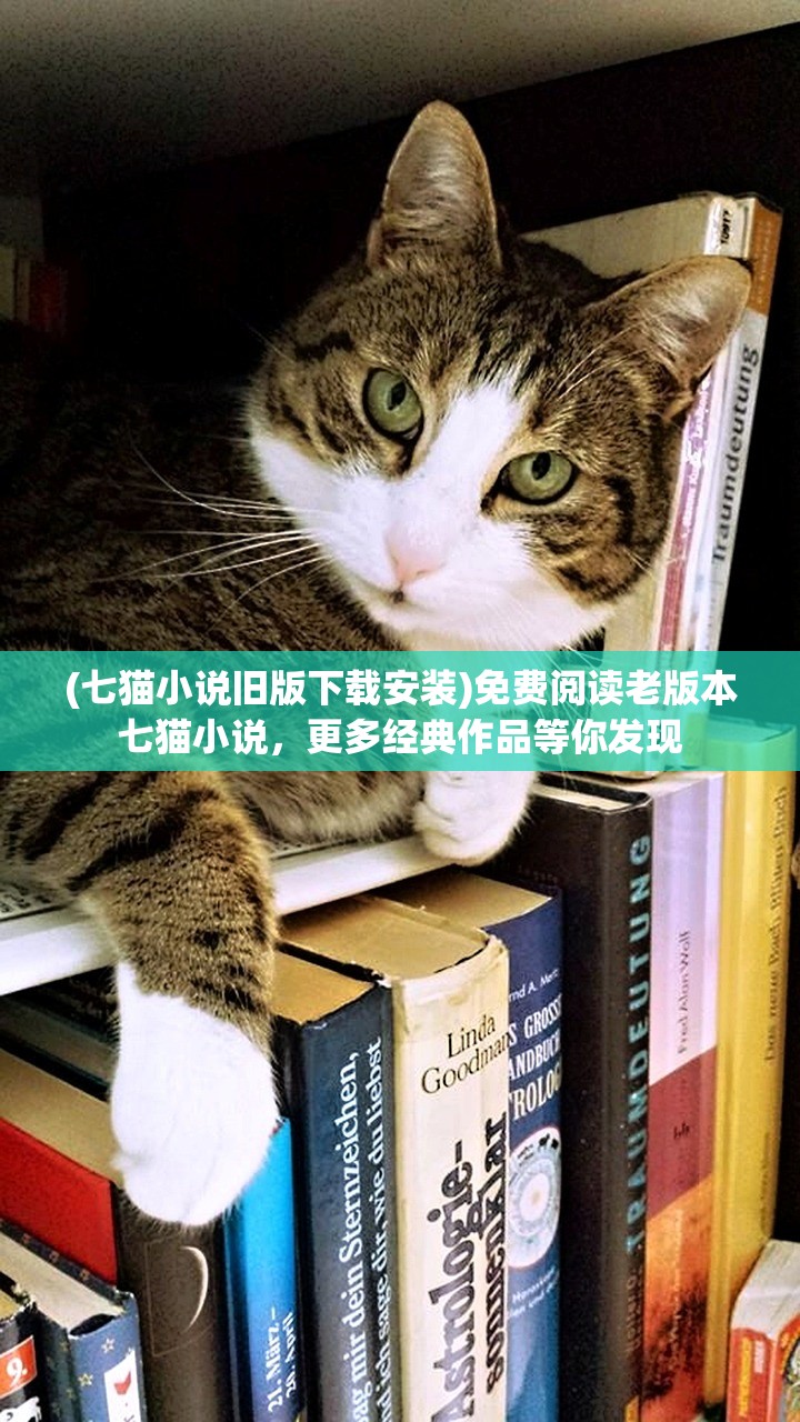 (七猫小说旧版下载安装)免费阅读老版本七猫小说,更多经典作品等你发现 (七猫小说旧版下载安装)免费阅读老版本七猫小说,更多经典作品等你发现