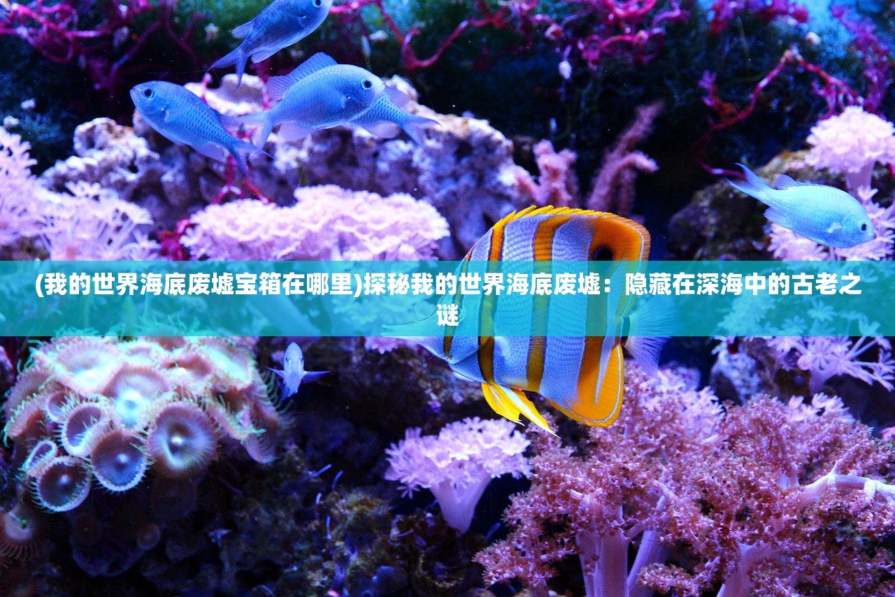 (汉室雄风手游)汉室雄风游戏攻略秘籍大全及常见问答解析