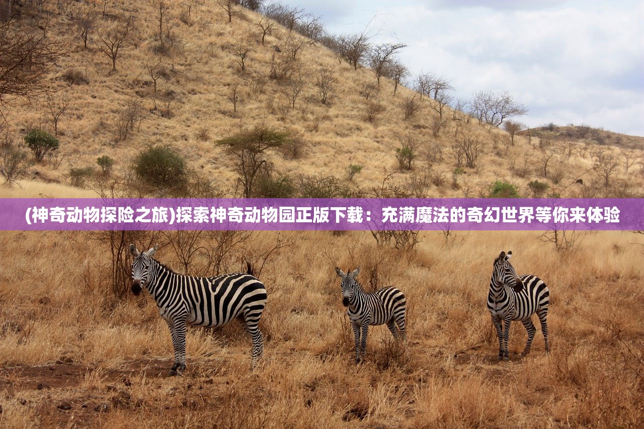 (芝麻红石)揭秘芝麻红中麻将,是否存在外挂问题? (芝麻红石)揭秘芝麻红中麻将,是否存在外挂问题?