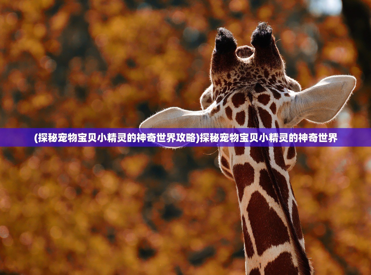 (神将录攻略)神将录单机版，揭秘10级剑客的成长之路