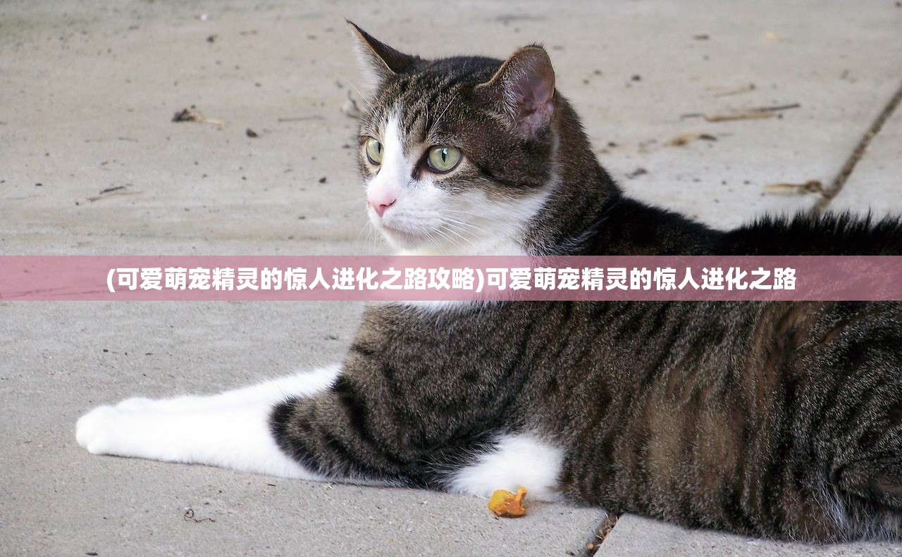 (山海异闻录攻略)山海异闻录之妖错图跳票事件深度解析