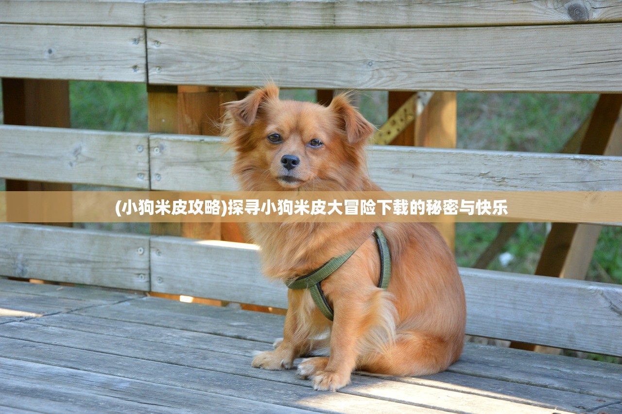 (拉比哩比全收集地图)拉比哩比游戏攻略大全，从入门到精通