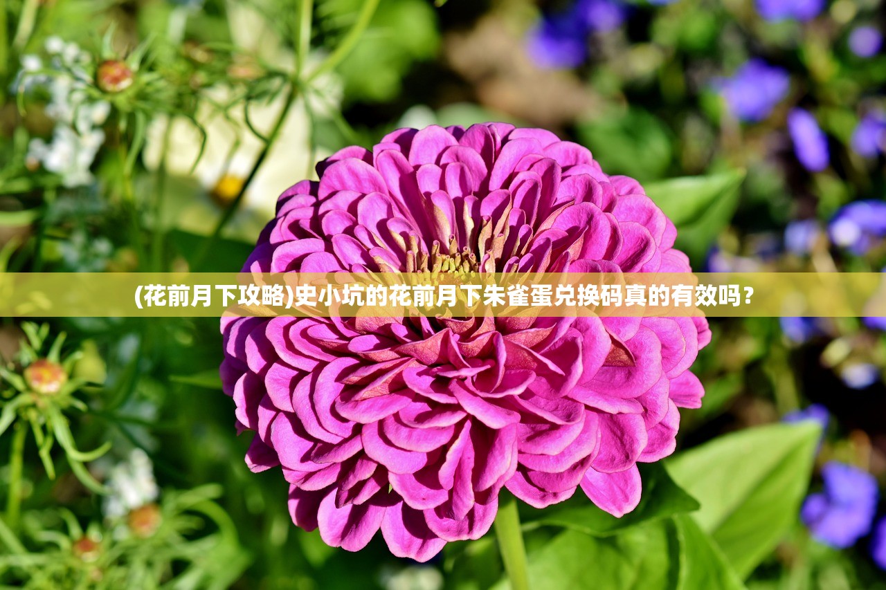 (军师请布阵平民攻略)军师请布阵，平民最佳阵容策略