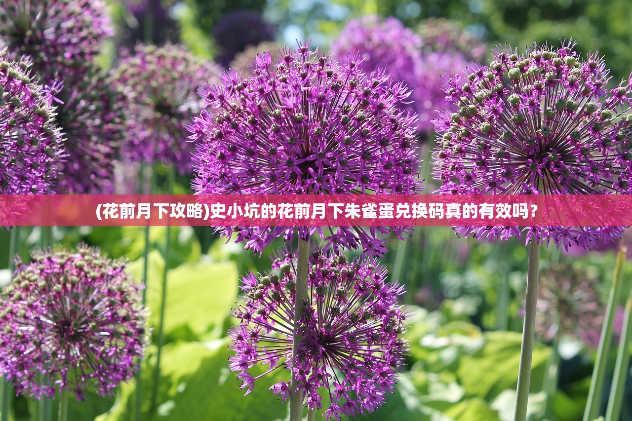(qq神仙有五星卡吗)QQ神仙游戏中是否存在五星卡？