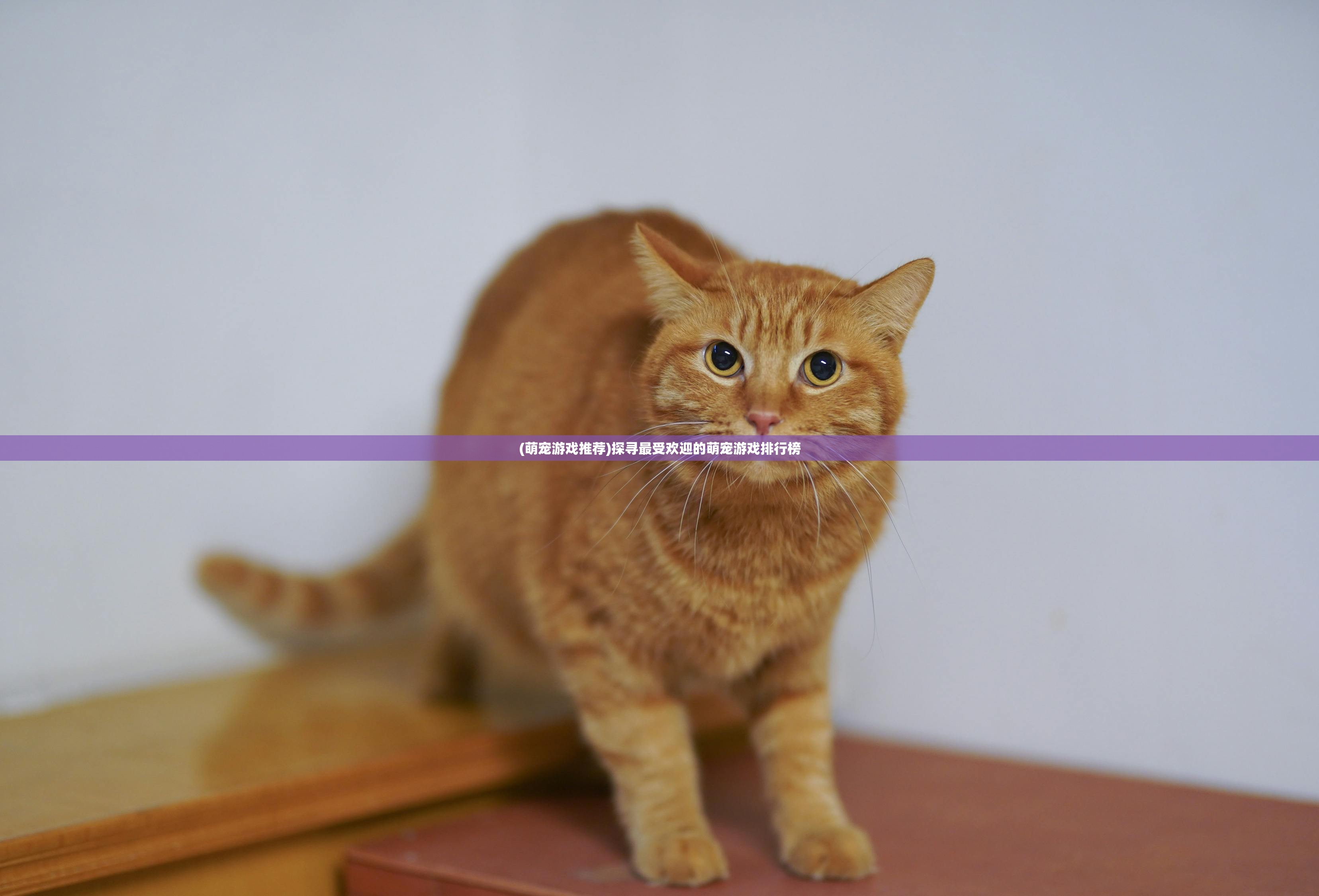 (名剑江山新手攻略大全图文)名剑江山新手攻略大全——从入门到精通的全方位指南