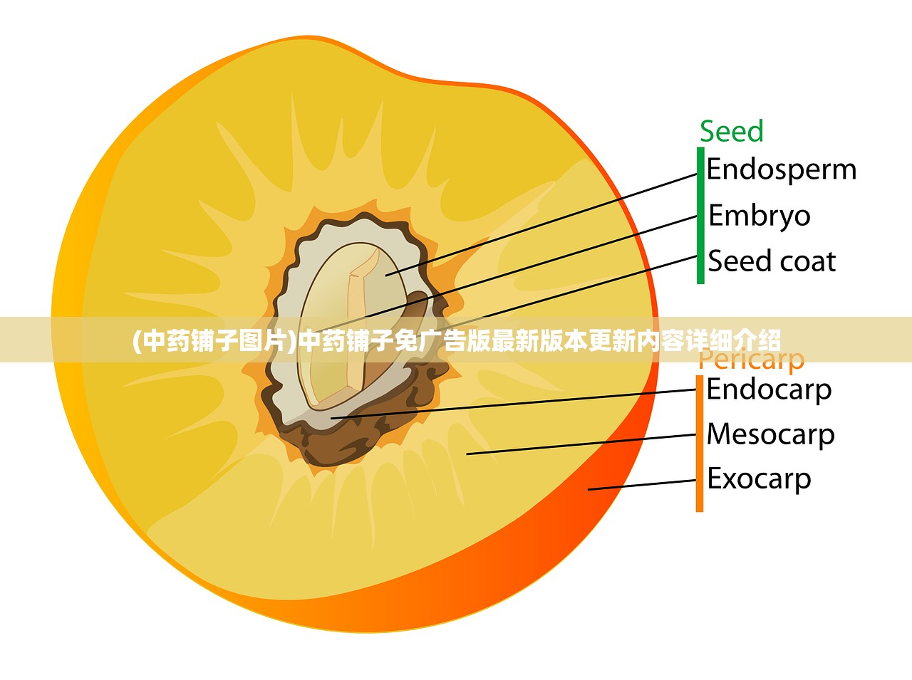 (圣光大陆的神明什么境界可以打)圣光大陆的神明境界解析
