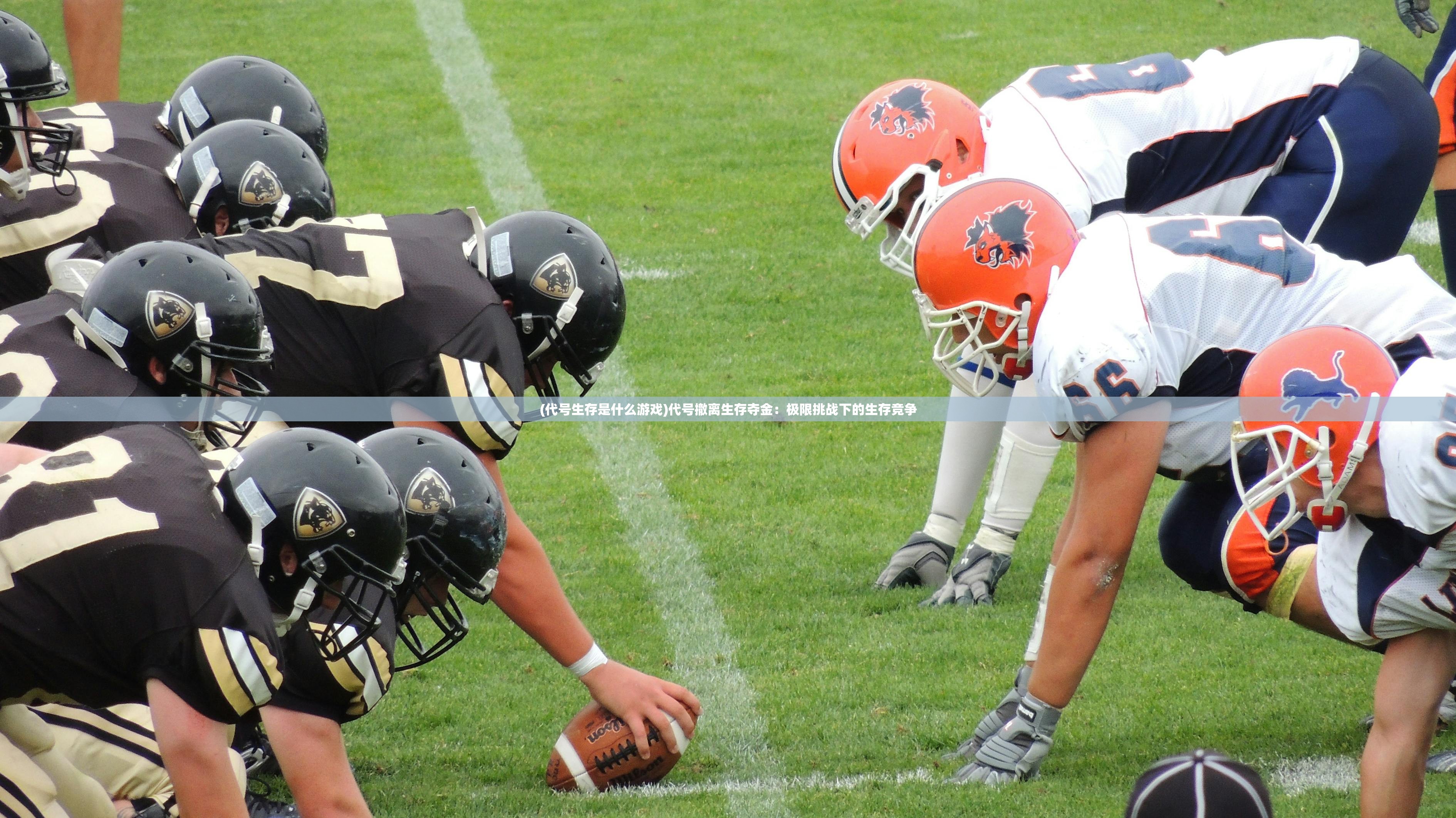 (龙之灵域什么时候上线)龙之灵域,神秘世界的探索与奥秘 (龙之灵域什么时候上线)龙之灵域,神秘世界的探索与奥秘