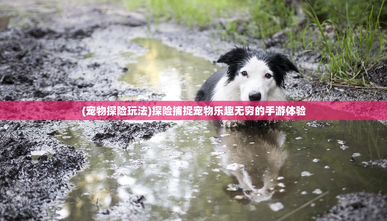 (疯狂矿车游戏)疯狂矿车2，冒险挖矿的新篇章