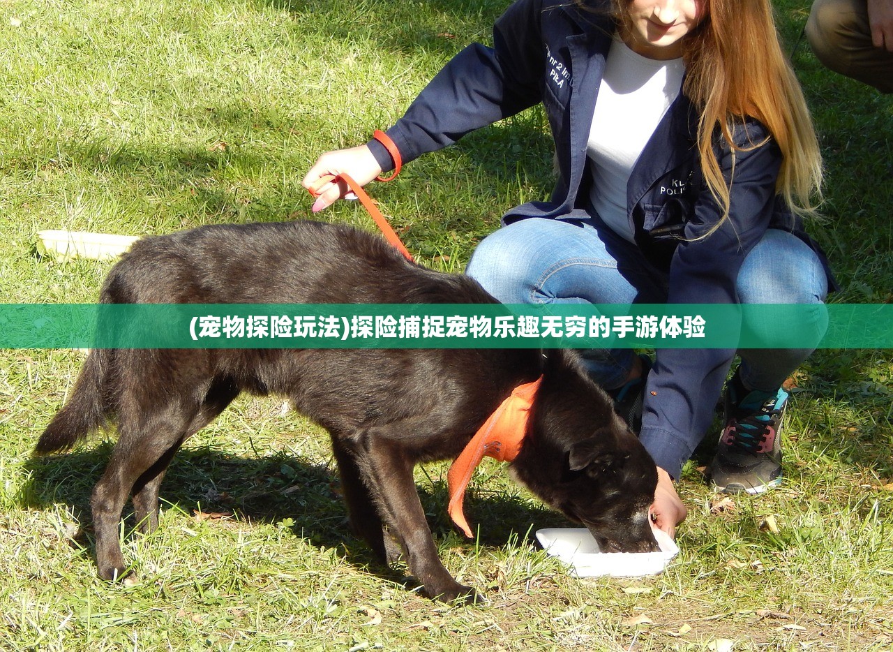 (萌神战姬视频)二次元萌神战姬，探索二次元世界的魅力与神秘