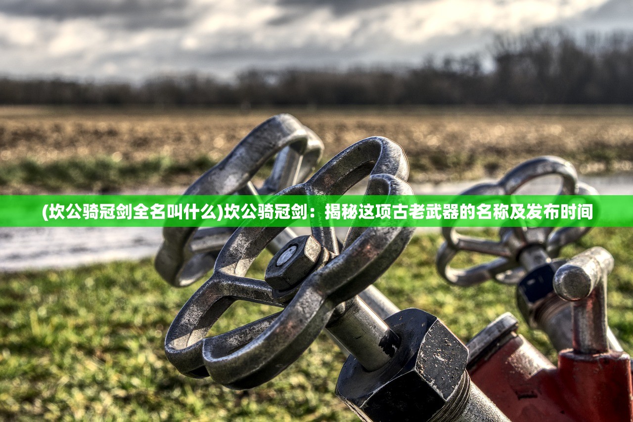 (百川的铭文怎么搭配)百川铸魂录，最强阵容推荐及深度分析