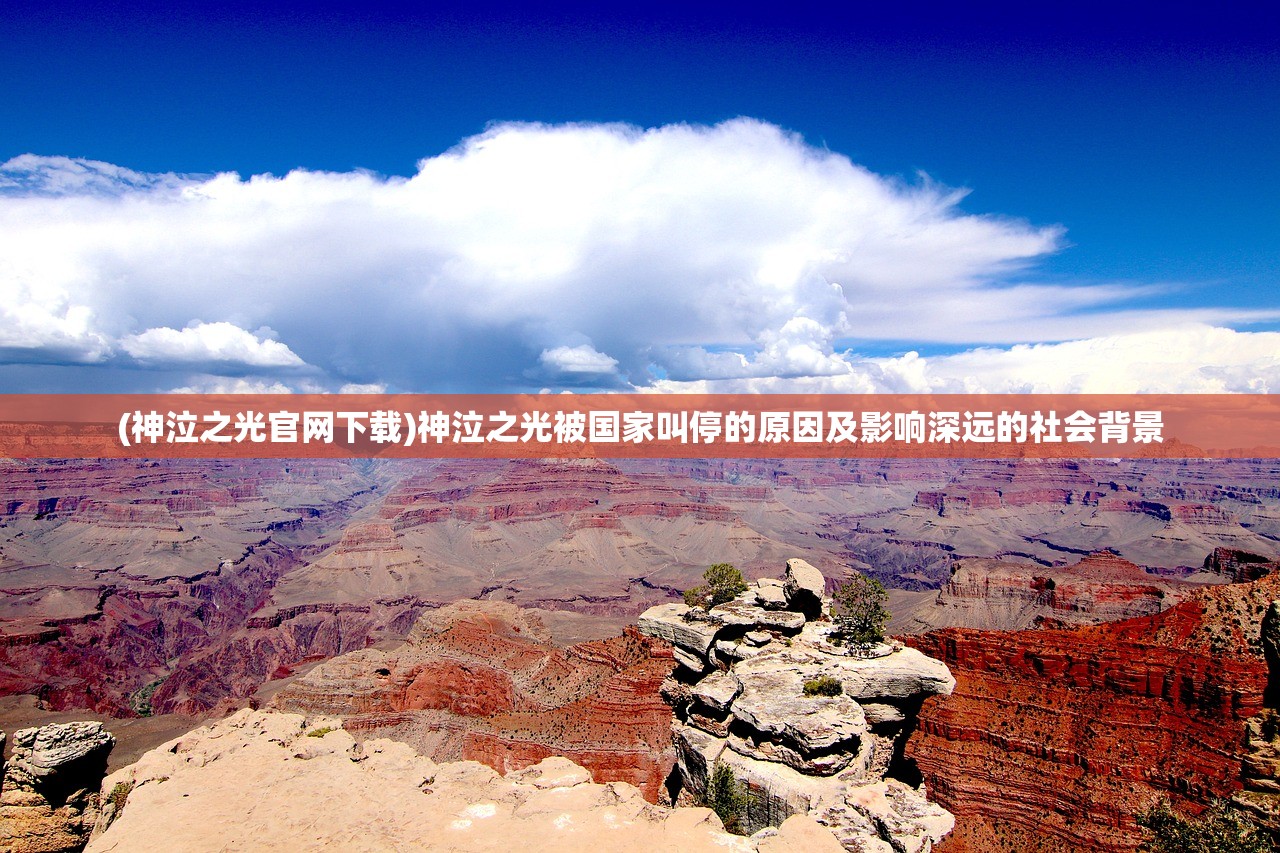 (代号qualidea动漫免费)代号Qualidea,动漫世界的独特魅力探索 (代号qualidea动漫免费)代号Qualidea,动漫世界的独特魅力探索