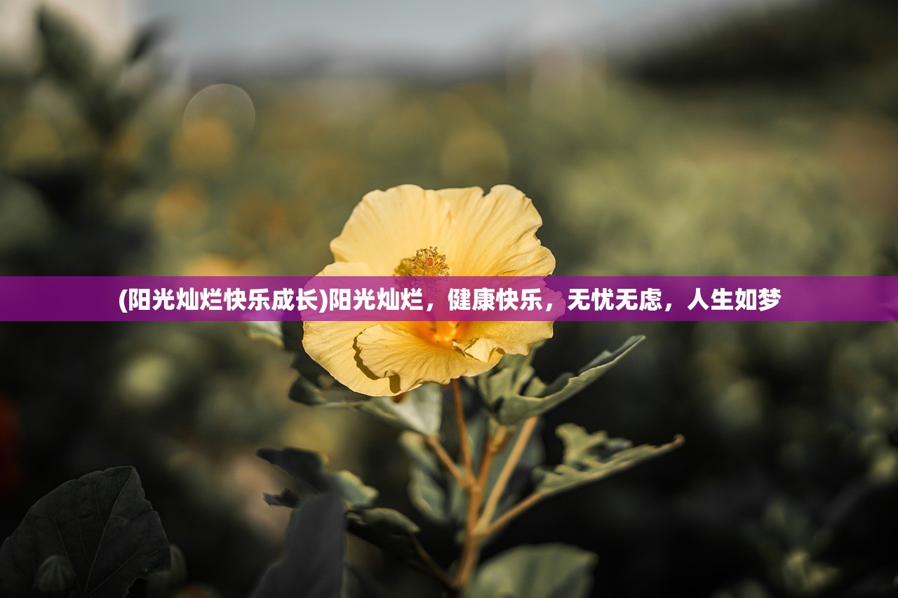 (2020五一请假攻略)揭秘2023年五一请假攻略，玩转长假，轻松出行！