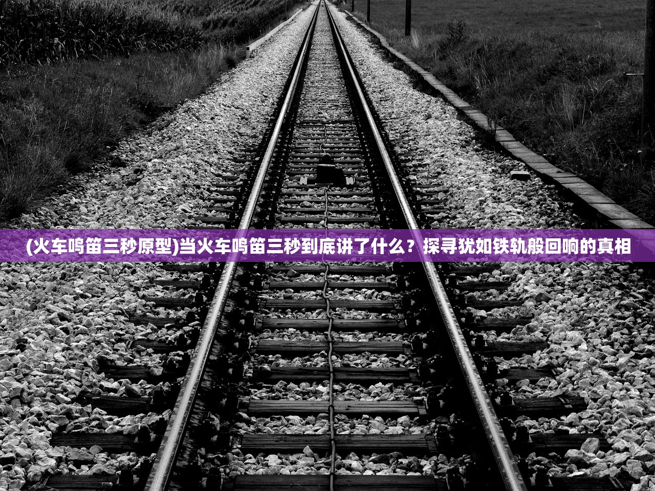(龙珠觉醒内购版下载)龙珠觉醒内购版,深度解析与探索 (龙珠觉醒内购版下载)龙珠觉醒内购版,深度解析与探索