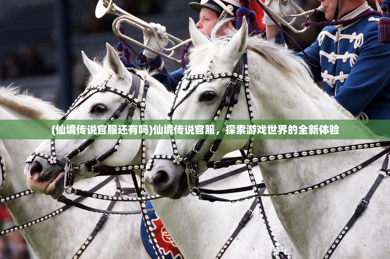 (仙境传说官服还有吗)仙境传说官服,探索游戏世界的全新体验 (仙境传说官服还有吗)仙境传说官服,探索游戏世界的全新体验