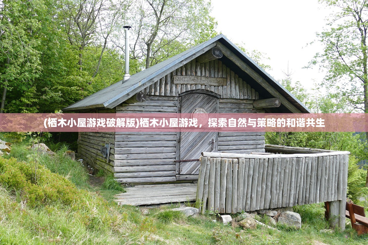 (栖木小屋游戏破解版)栖木小屋游戏,探索自然与策略的和谐共生 (栖木小屋游戏破解版)栖木小屋游戏,探索自然与策略的和谐共生