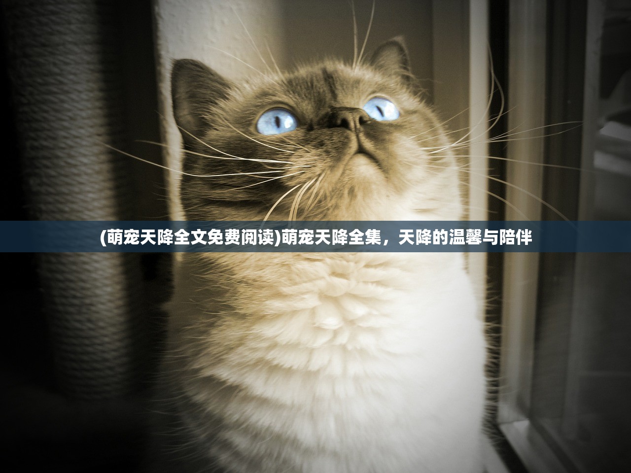 (问道攻略大全新手升级2819级)问道攻略大全新手升级指南2023版，快速跃升至28级
