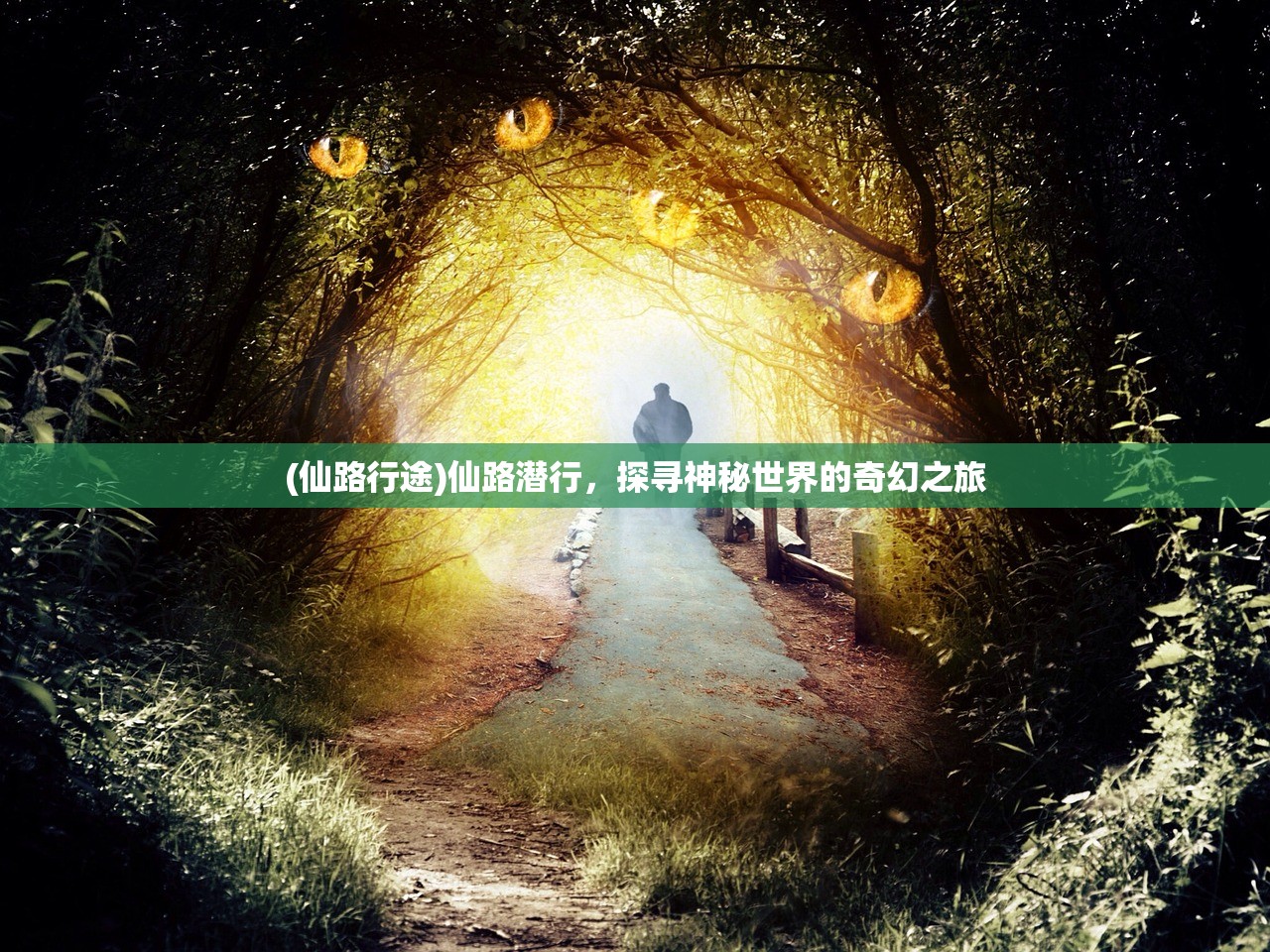 (斗罗封神传传奇手游视频素材)斗罗封神传传奇，探寻奇幻世界的无尽魅力
