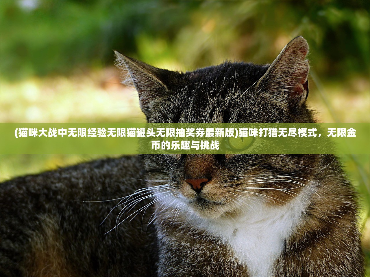 (一起来修仙工作室倒闭了吗)一起来修仙工作室，探索修仙游戏的魅力与未来