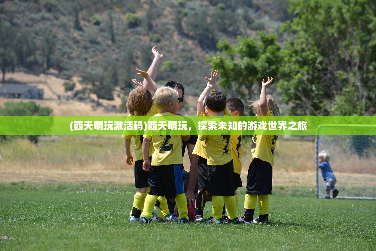 (圣灵之境攻略大全)圣灵之境攻略大全，从入门到精通的全方位指南