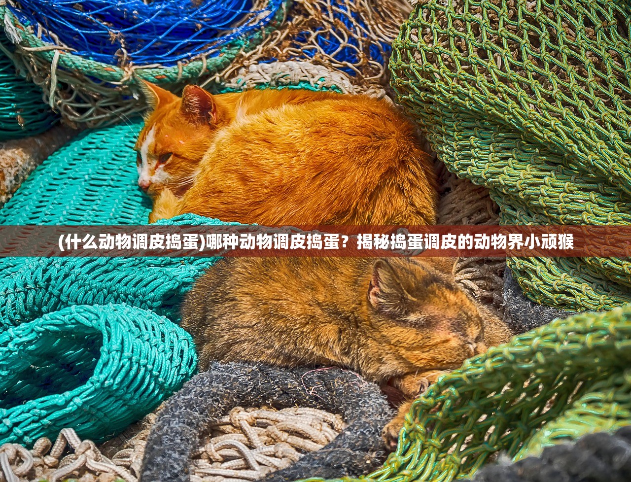 (点击泰坦2前期攻略)点击泰坦2攻略最全解析及常见问题解答 (点击泰坦2前期攻略)点击泰坦2攻略最全解析及常见问题解答