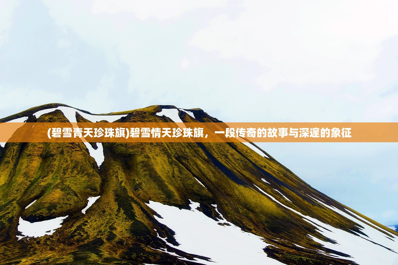 (不一样修仙功法攻略)不一样修仙2九阳曜日攻略大全及常见问题解答