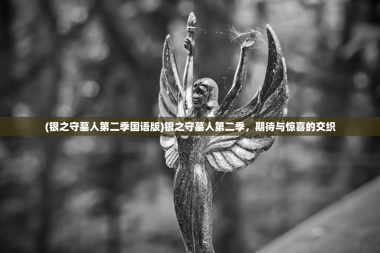 (银之守墓人第二季国语版)银之守墓人第二季,期待与惊喜的交织 (银之守墓人第二季国语版)银之守墓人第二季,期待与惊喜的交织