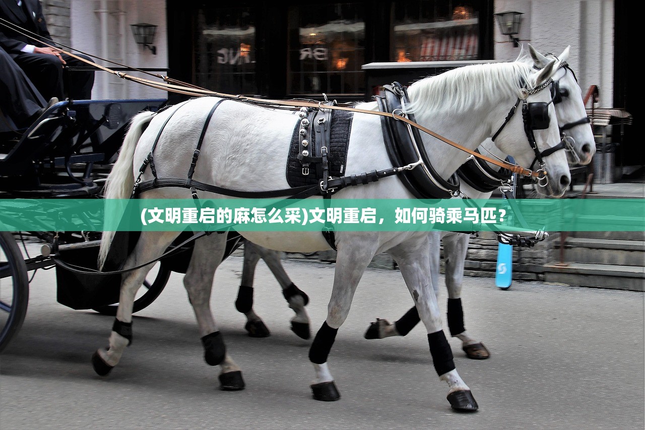 (文明重启的麻怎么采)文明重启,如何骑乘马匹? (文明重启的麻怎么采)文明重启,如何骑乘马匹?