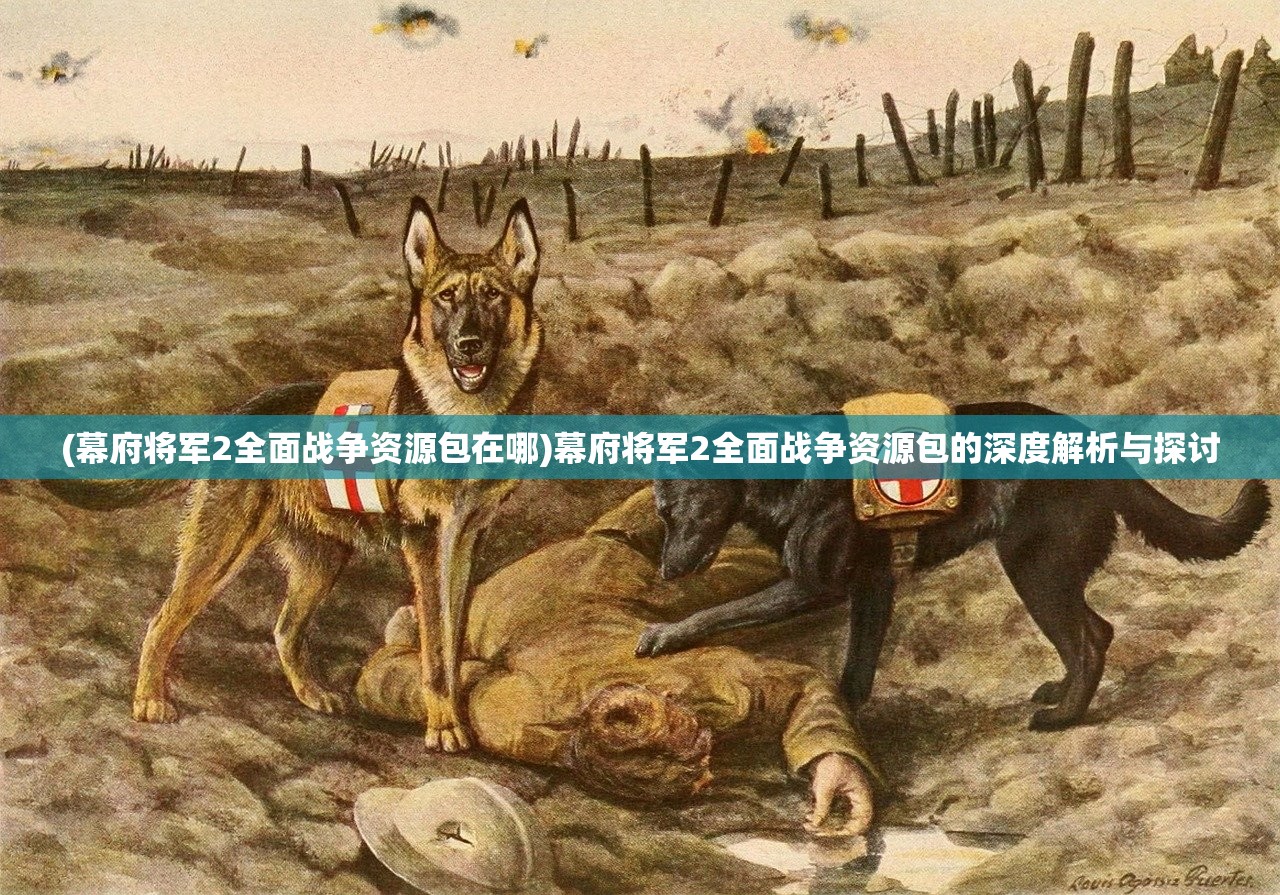 (幕府将军2全面战争资源包在哪)幕府将军2全面战争资源包的深度解析与探讨 (幕府将军2全面战争资源包在哪)幕府将军2全面战争资源包的深度解析与探讨