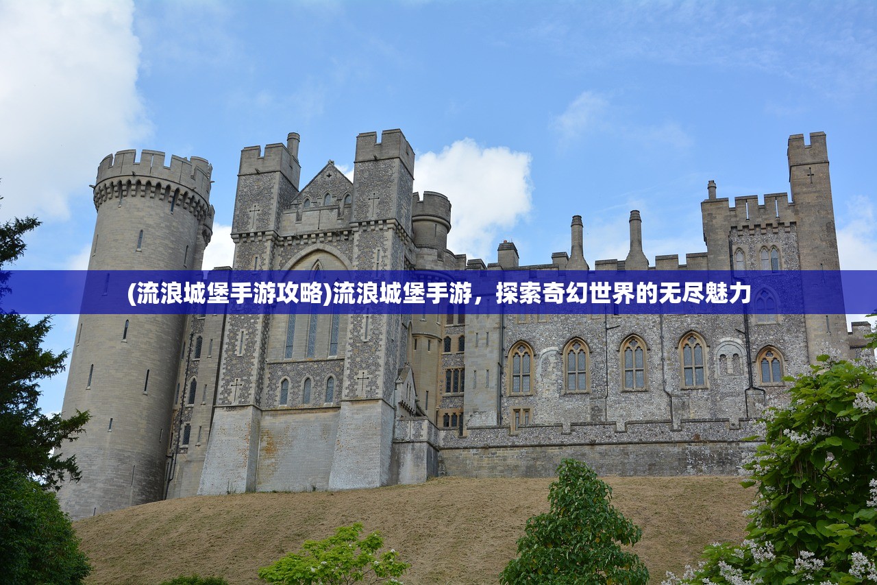(流浪城堡手游攻略)流浪城堡手游,探索奇幻世界的无尽魅力 (流浪城堡手游攻略)流浪城堡手游,探索奇幻世界的无尽魅力