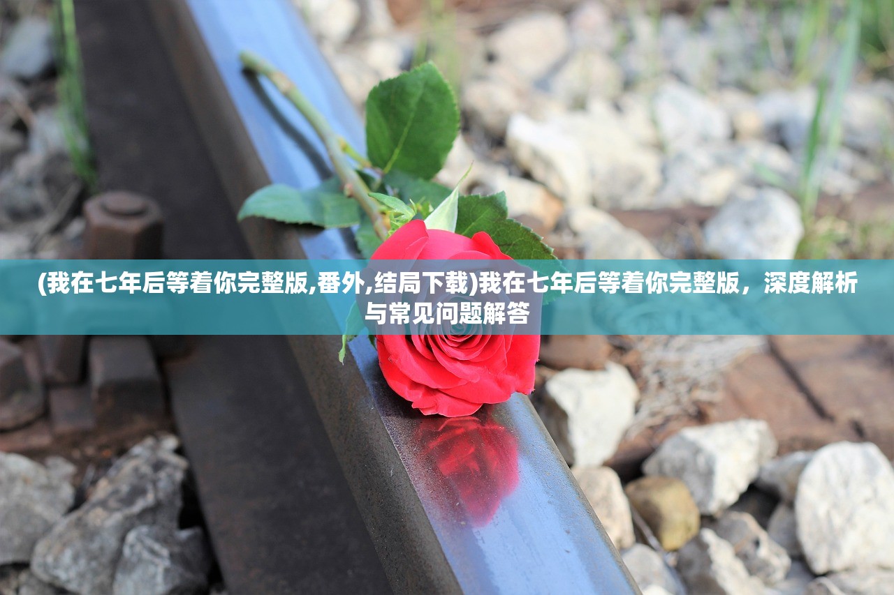 (代号盖波加多少名望能打)代号GARA，探索神秘世界的未知之旅