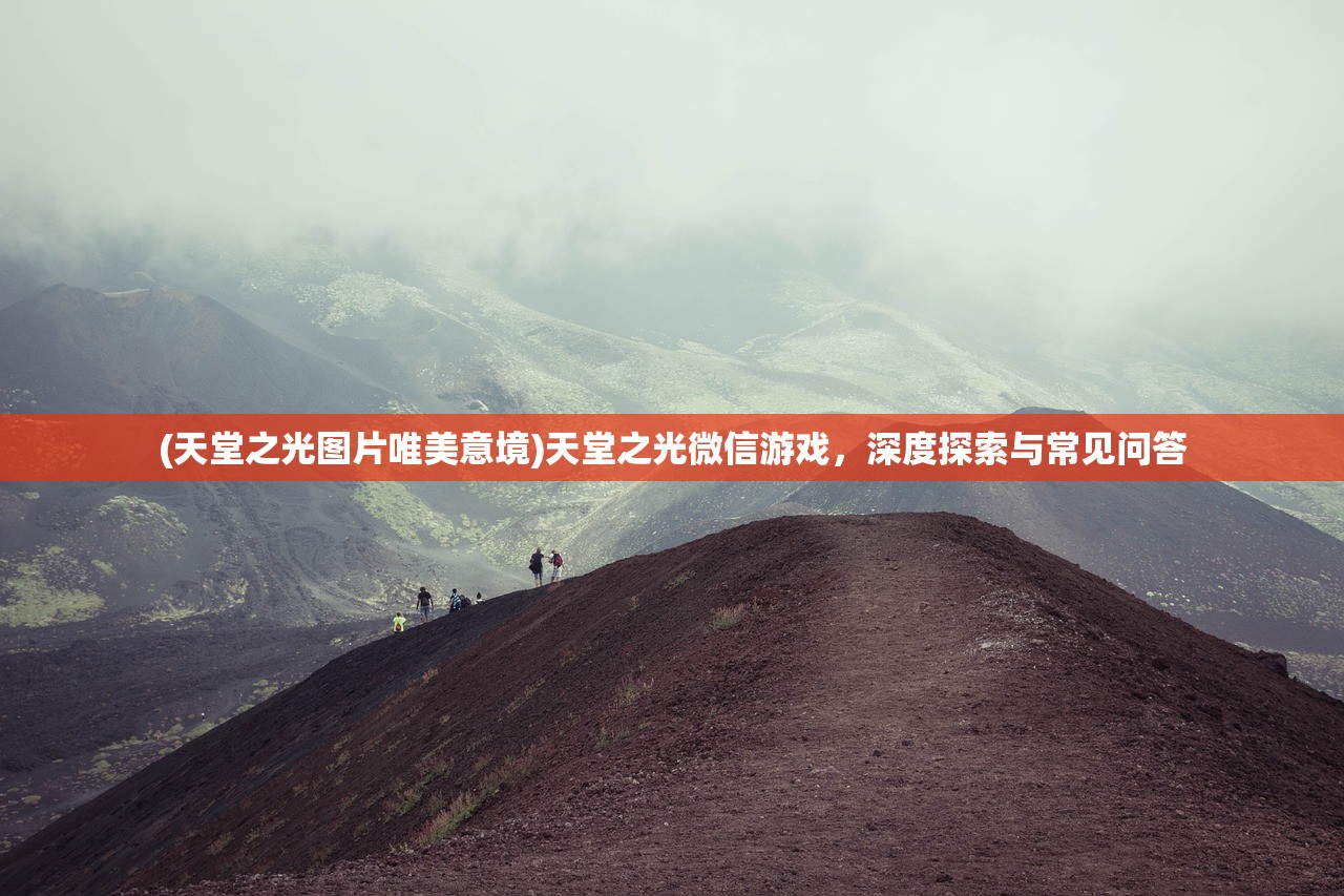(面包熊系列)熊熊面包房安静本的玩法指南及常见问题解答