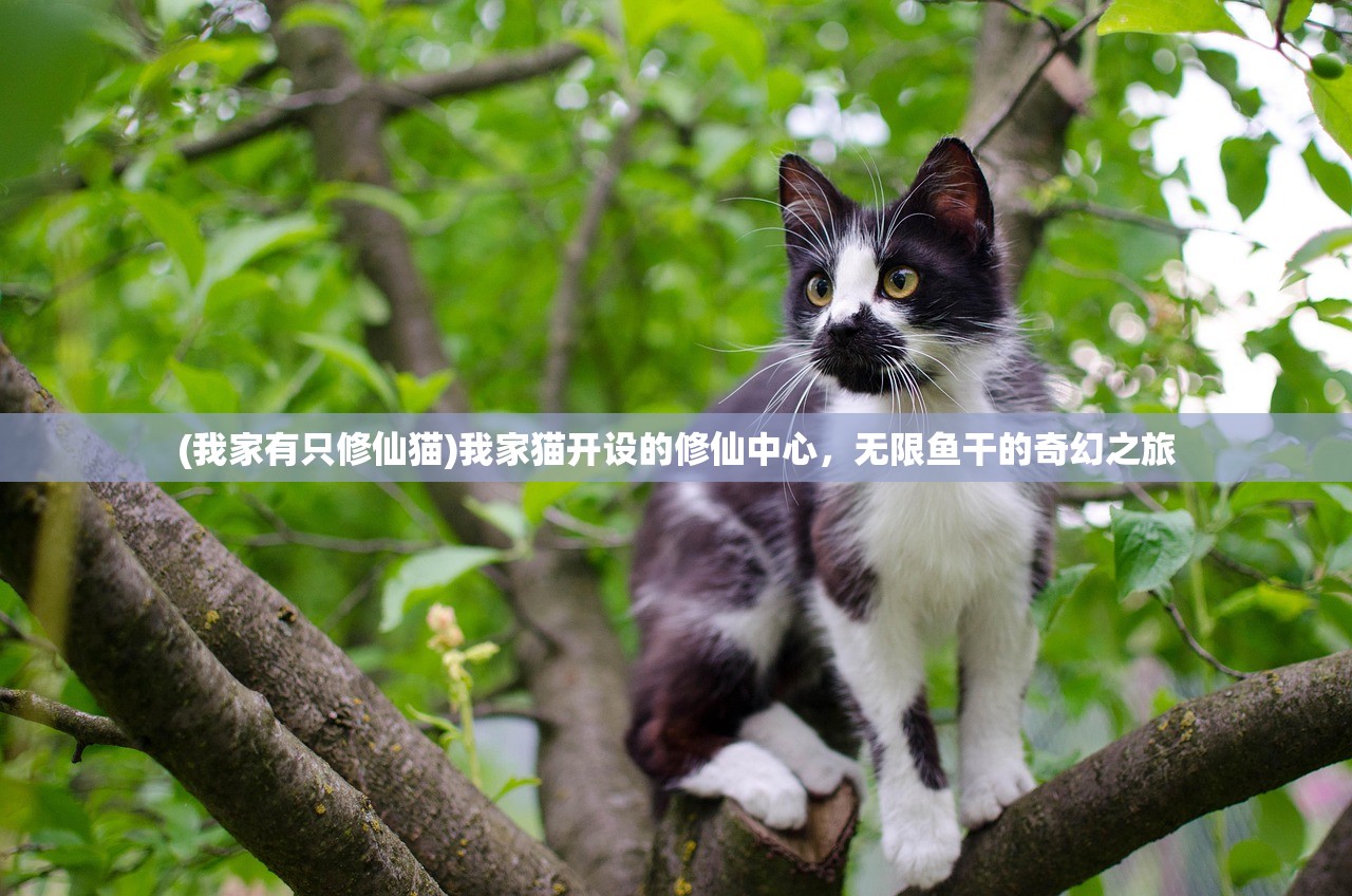 (我家有只修仙猫)我家猫开设的修仙中心,无限鱼干的奇幻之旅 (我家有只修仙猫)我家猫开设的修仙中心,无限鱼干的奇幻之旅