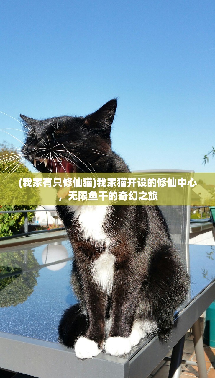 (我家有只修仙猫)我家猫开设的修仙中心,无限鱼干的奇幻之旅 (我家有只修仙猫)我家猫开设的修仙中心,无限鱼干的奇幻之旅
