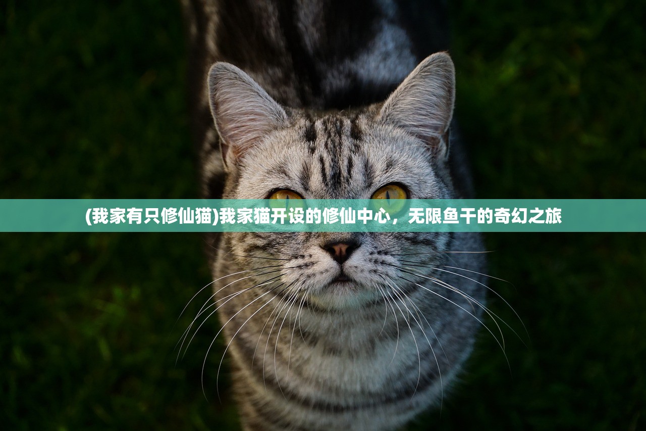 (全员削水果赚钱吗)全员削水果赚钱，一种新型盈利模式的探索与挑战