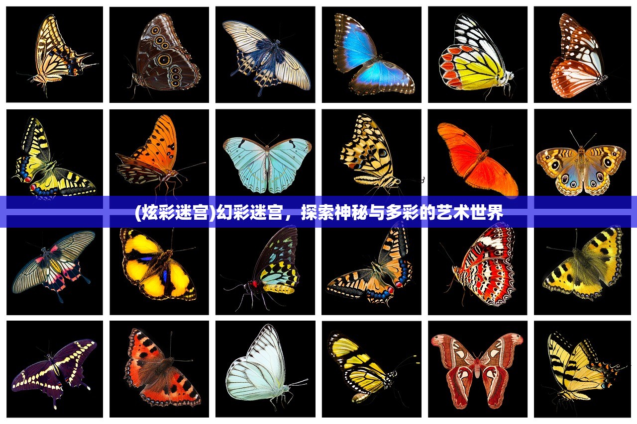 (炫彩迷宫)幻彩迷宫,探索神秘与多彩的艺术世界 (炫彩迷宫)幻彩迷宫,探索神秘与多彩的艺术世界